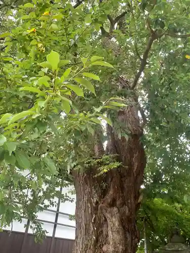 永泉寺(岩手県)