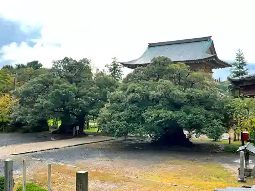 西福寺(福井県)
