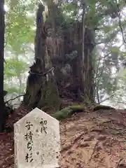 奈良原神社(愛媛県)