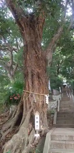 浅間神社(千葉県)