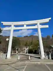 山梨縣護國神社の鳥居