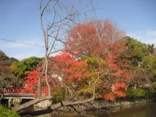 鶴岡八幡宮の庭園