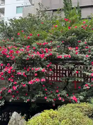 水鏡天満宮(福岡県)