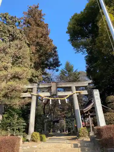 大宮住吉神社の鳥居