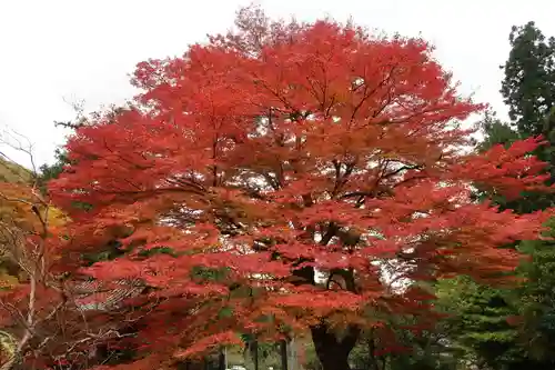 悉地院(滋賀県)