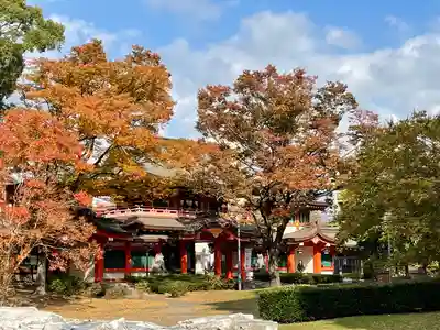 千葉神社(千葉県)