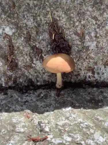 恵那神社の自然