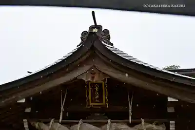 八重垣神社の本殿・本堂