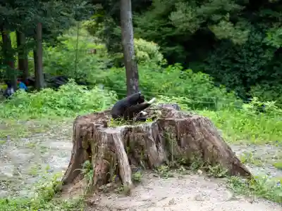伏見稲荷大社(京都府)