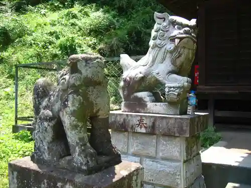 杉山神社の狛犬