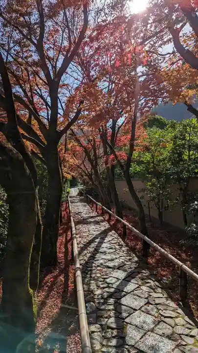光悦寺(京都府)