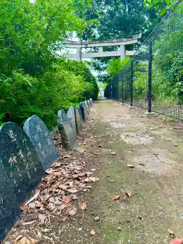 隨心院（随心院）(京都府)