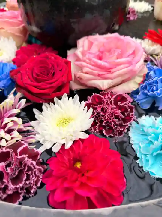 神楽坂安養寺(東京都)