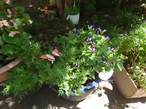 馬場氷川神社の自然