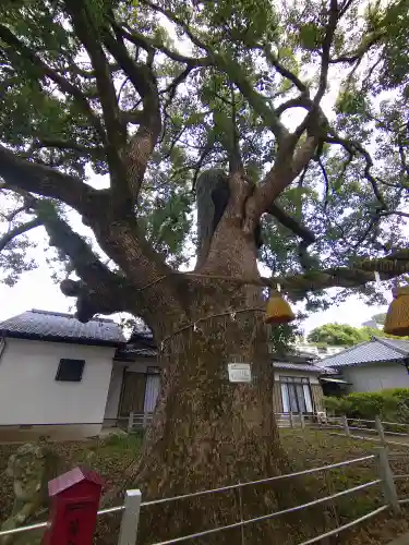 山王神社(長崎県)