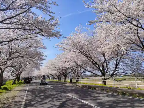 千代保稲荷神社の周辺