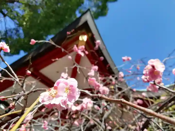 居木神社の自然