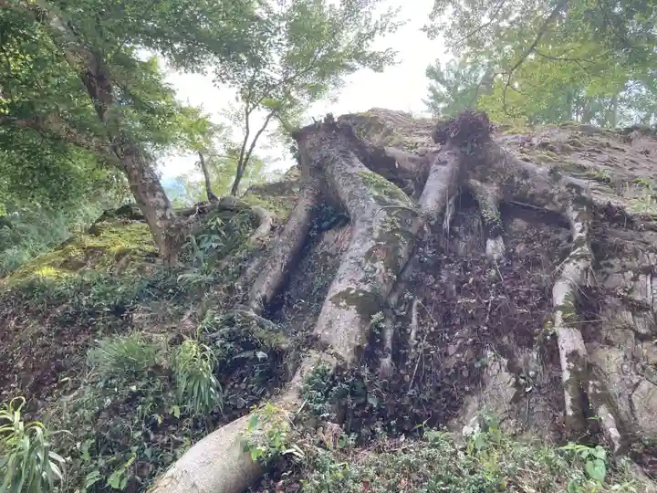 白瀧神社(群馬県)