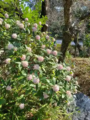布多天神社(東京都)