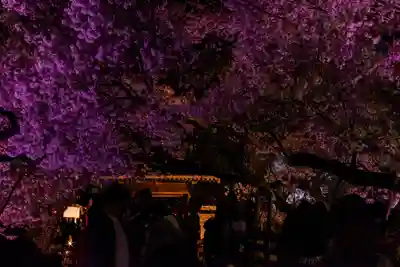 新城藤原神社(長野県)