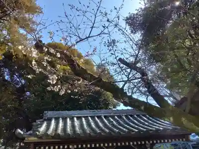 浅間神社(東京都)