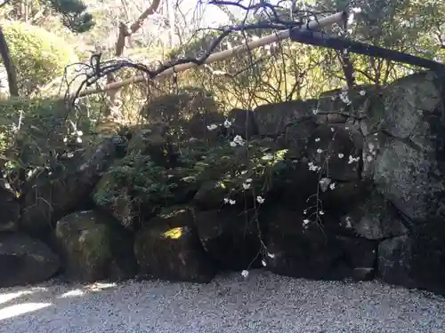 報国寺の庭園