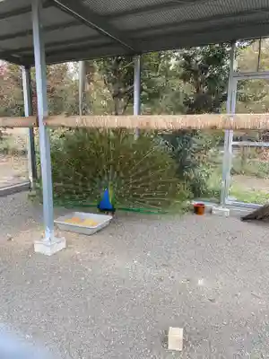 進雄神社(群馬県)