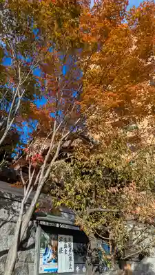 興聖寺(京都府)