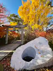 鳥飼八幡宮(福岡県)