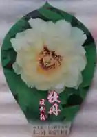 新宿不動堂の授与品その他