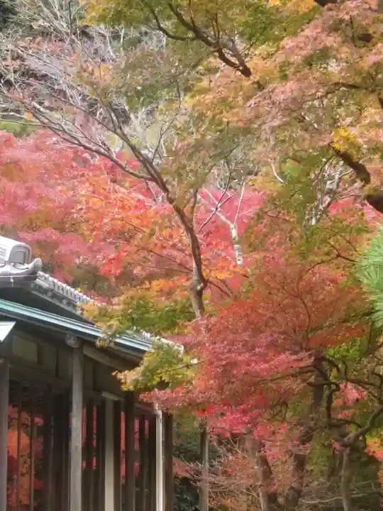 長壽寺(長寿寺)の庭園