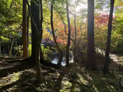 醍醐寺(京都府)