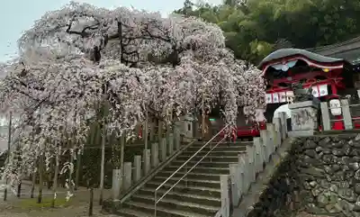 小川諏訪神社(福島県)