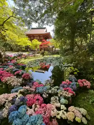 室生寺(奈良県)