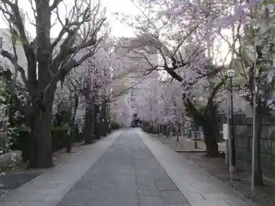 吉祥寺のその他建物