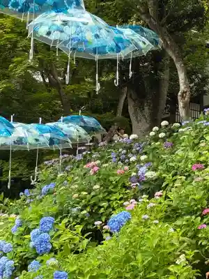 柳谷観音　楊谷寺(京都府)