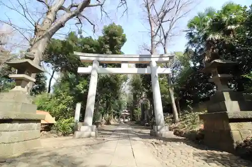 代々木八幡宮の鳥居