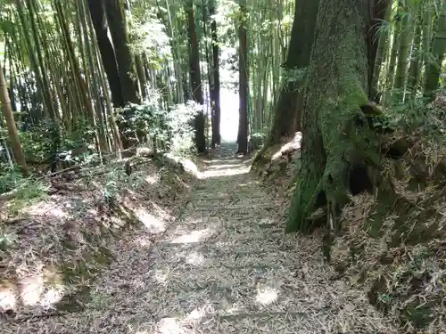 白山神社(福井県)