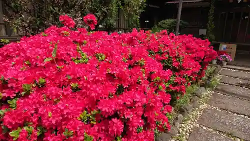 本郷氷川神社の庭園
