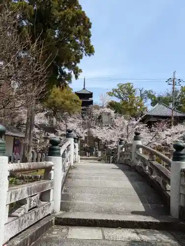 くろ谷 金戒光明寺(京都府)