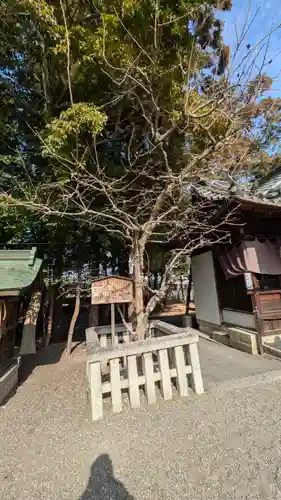 立木神社(滋賀県)