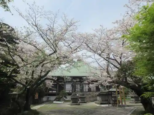 長勝寺の景色