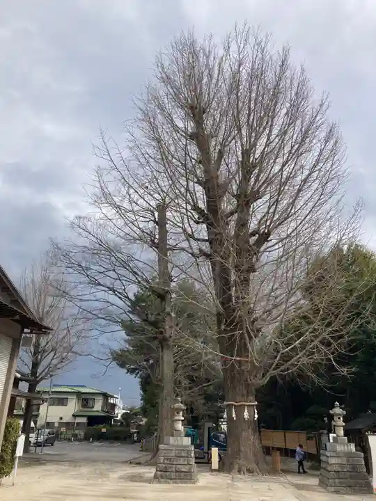 春日部八幡神社(埼玉県)