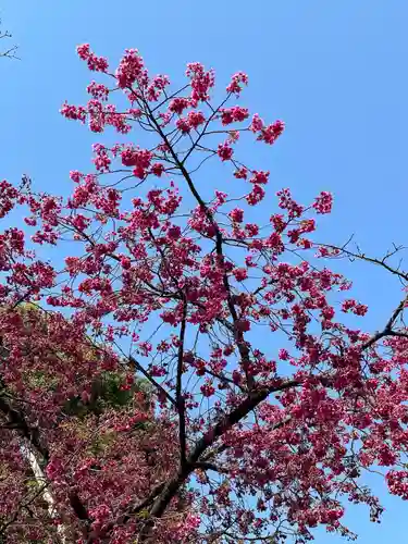 亀戸天神社(東京都)