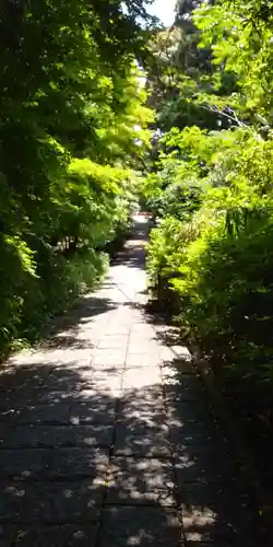 早尾神社の建物その他