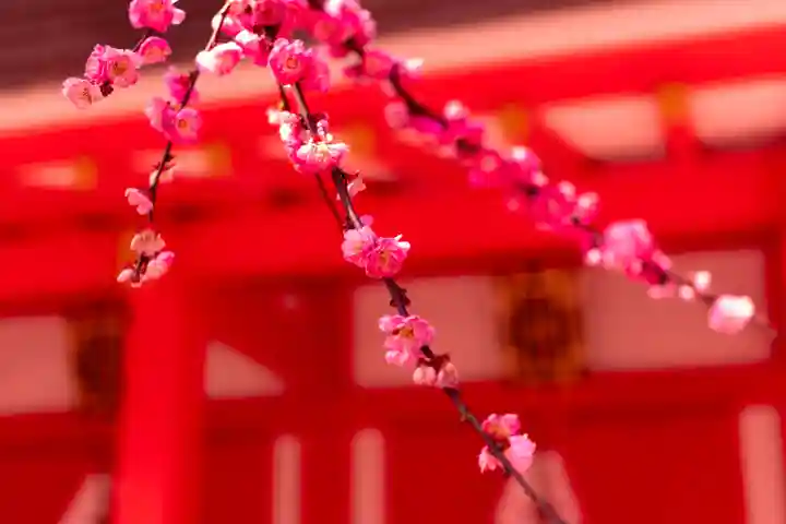 北野天満宮(京都府)