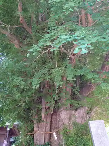 鶴嶺八幡宮の芸術