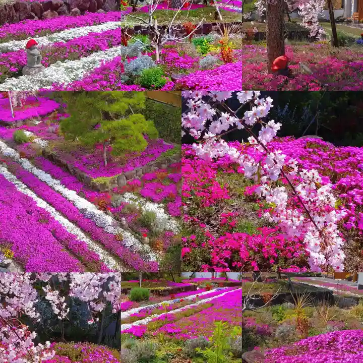 寿量山 速成寺(奈良県)
