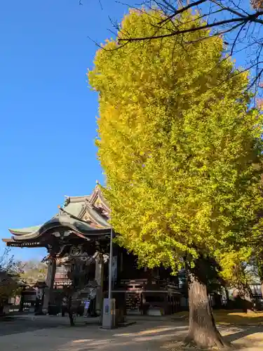 諏訪神社(東京都)