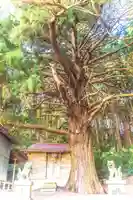 水神社(宮城県)